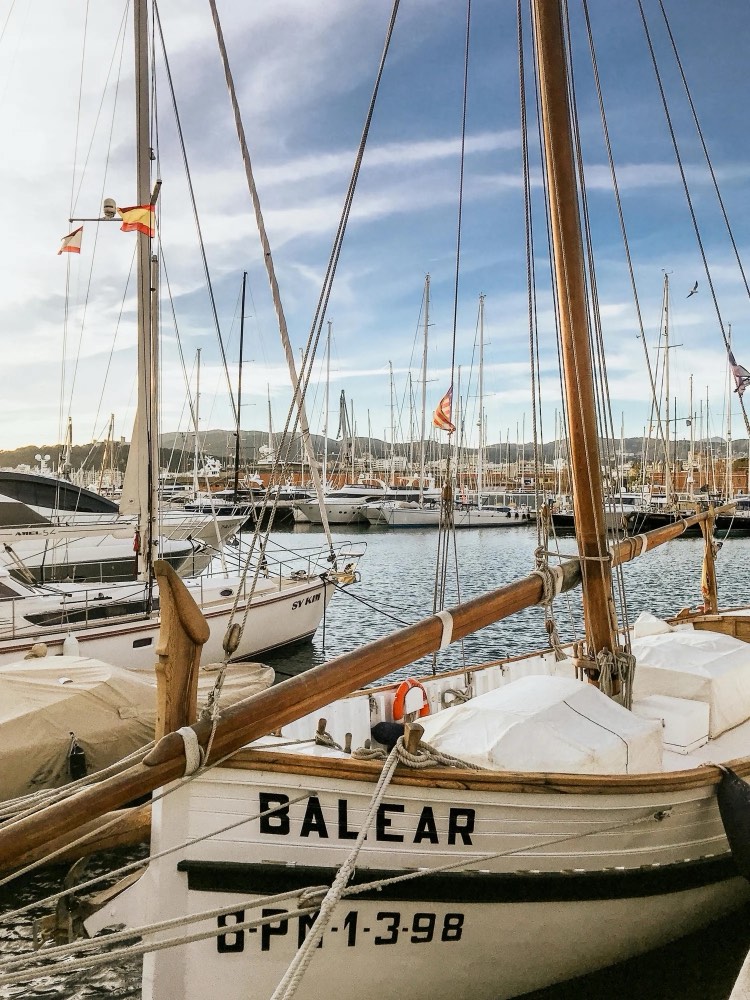 Sailboats and rigging at a sunlit marina